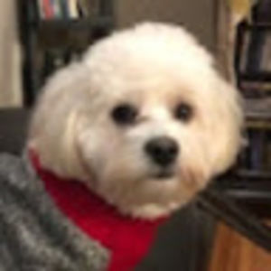 Meet your Posher, Atoosa